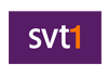 SVT1 -underhållning, film, svenska och utländska serier, barnprogram, dokumentärer, nyheter.